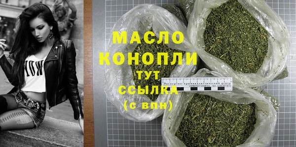индика Арсеньев