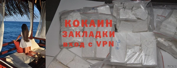 индика Арсеньев