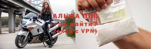 индика Арсеньев