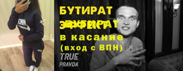 индика Арсеньев