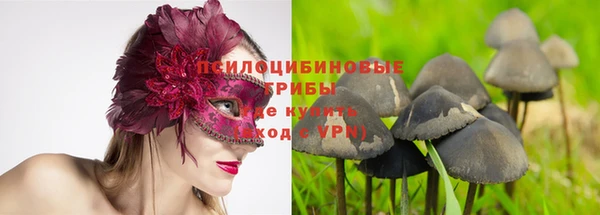 прущие крисы Армянск