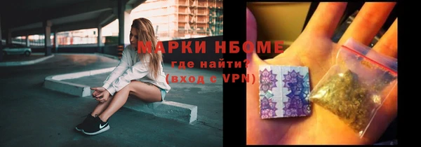 индика Арсеньев