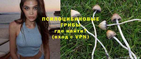 прущие крисы Армянск