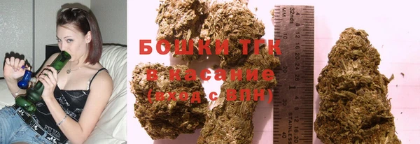 индика Арсеньев