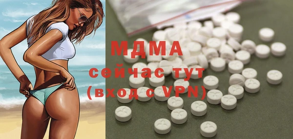 индика Арсеньев
