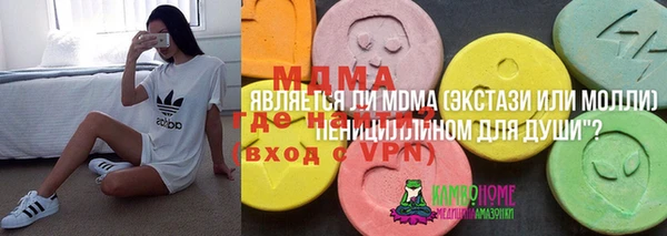 индика Арсеньев